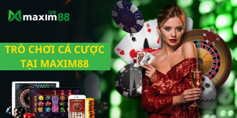 Khám phá những bí ẩn hấp dẫn cùng Book Of Mystery và cơ hội nhận thưởng lớn