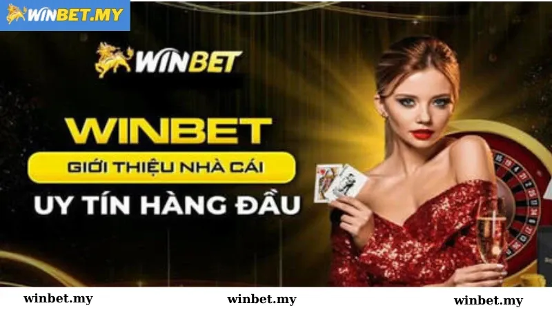 Khám phá những ảnh đánh bài độc đáo và những tuyệt chiêu chơi ảnh đánh bài hay nhất